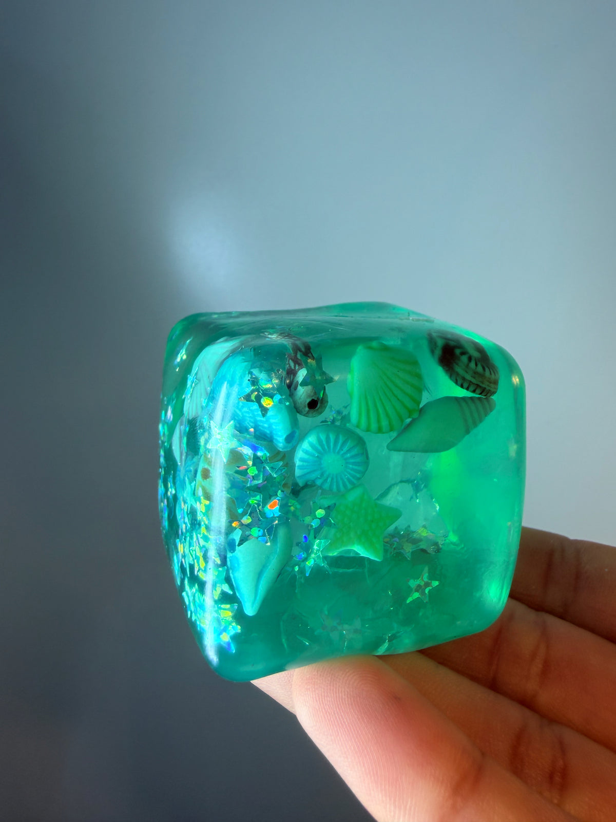 Sea cube π«§π
